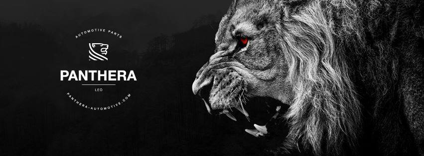 パーツ PANTHERA LEO ACTIVE SOUND PANTHERA LEO ACTIVE SOUND - メルカリ